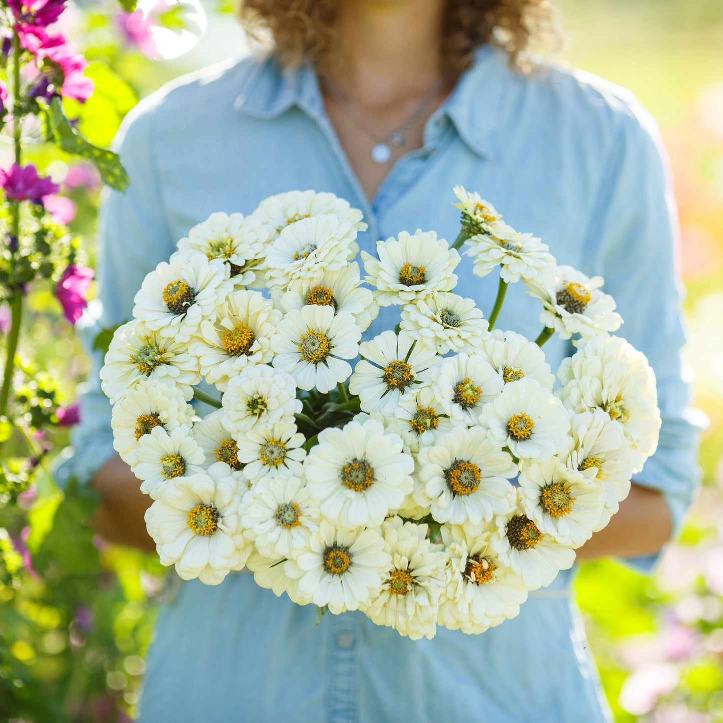 Zinnia Seeds - Polar Bear